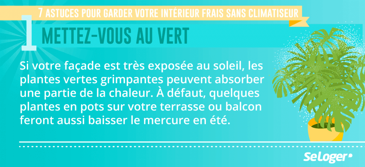 canicule astuces