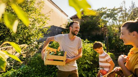 Un potager chez soi